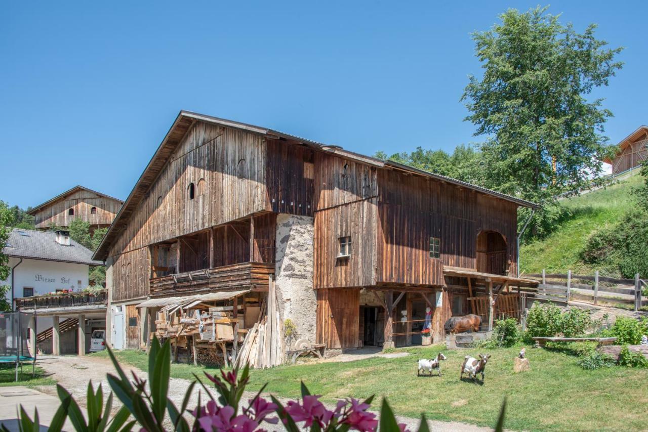 Ferienbauernhof Wieserhof 피에 외부 사진